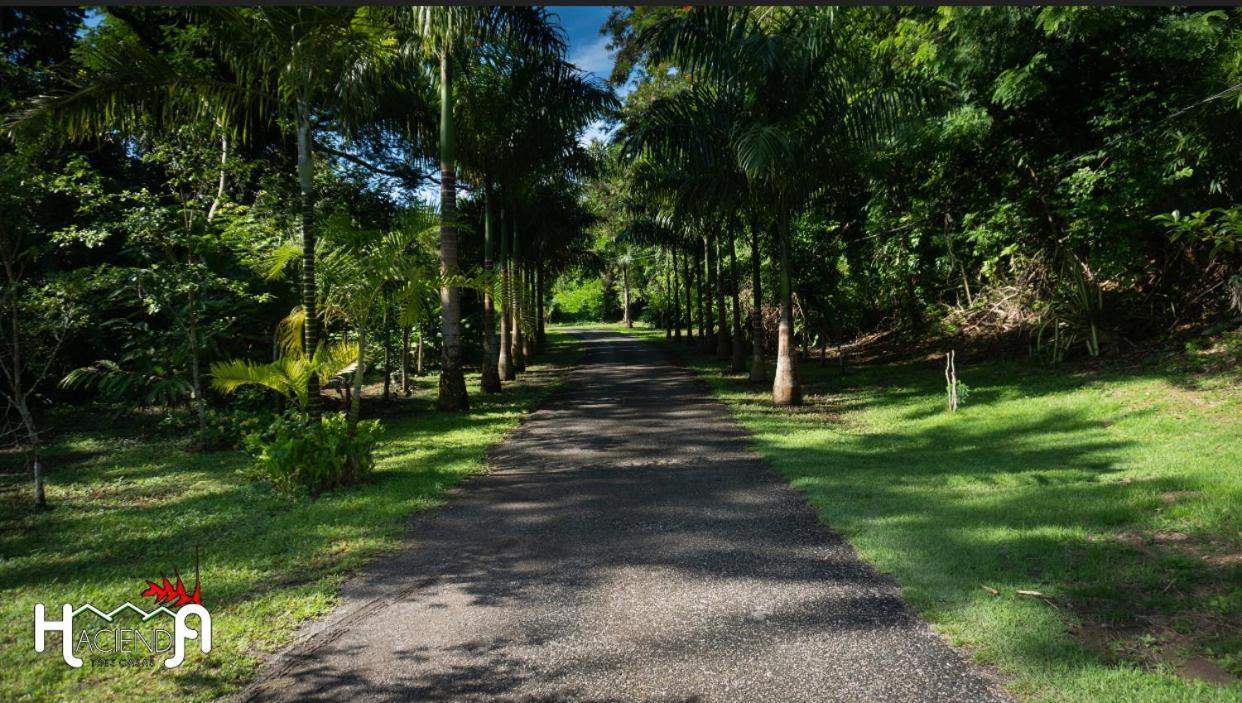 Hacienda Tres Casitas ξενώνας Cabo Rojo Εξωτερικό φωτογραφία