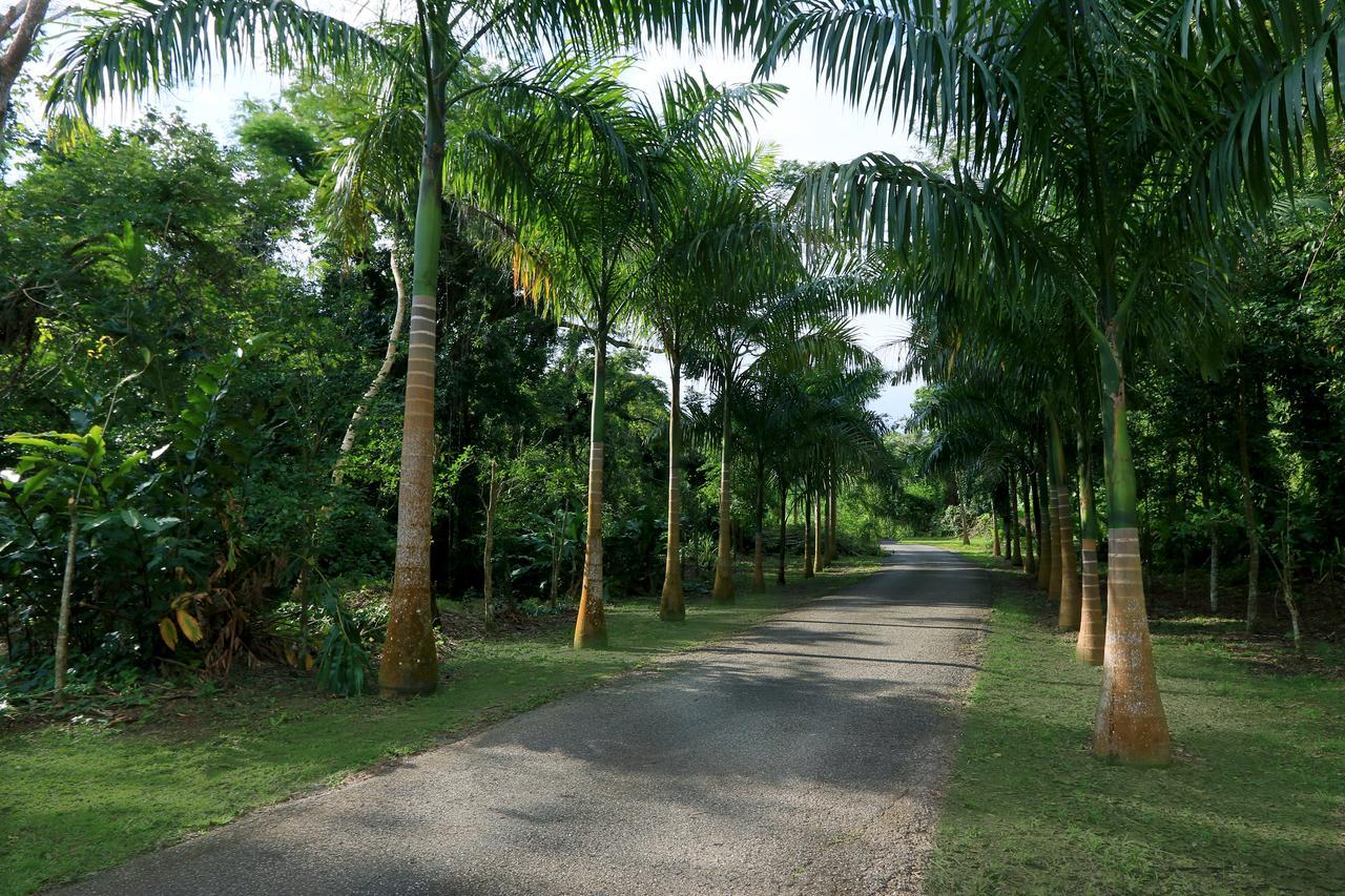 Hacienda Tres Casitas ξενώνας Cabo Rojo Εξωτερικό φωτογραφία